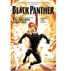 Black Panther: A Nation Under Our Feet. Vol 2