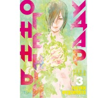 Огненный удар. Книга 3