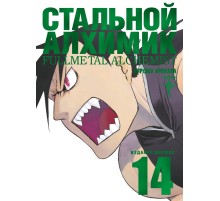 Стальной Алхимик. Книга 14