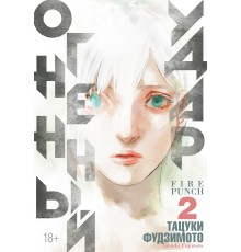 Огненный удар. Книга 2