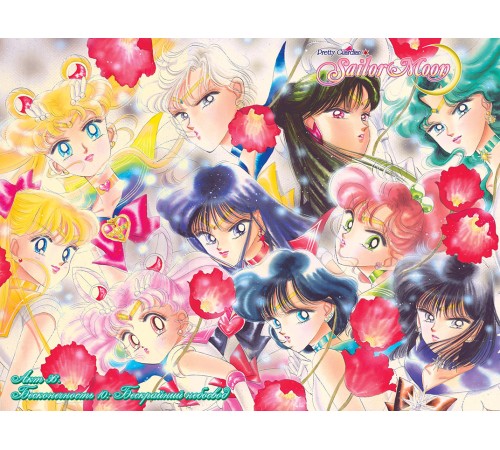 Sailor Moon. Том 8