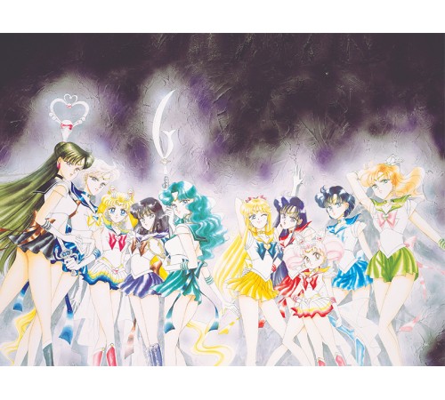 Sailor Moon. Том 6