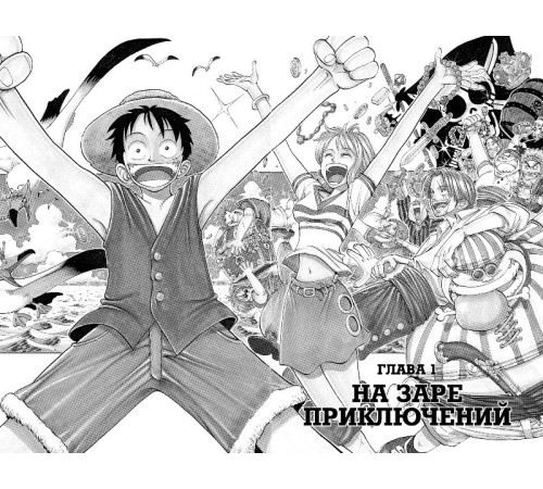 One Piece. Большой куш. Книга 1. На заре приключений