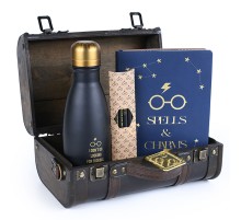 Набор подарочный Harry Potter (Trouble Finds Me) GP85536