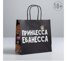 Пакет подарочный «Принцесса», 22 х 22 х 11 см