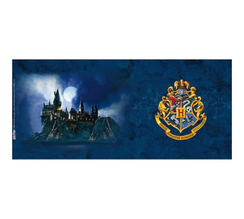 Кружка Harry Potter Hogwarts x2 320 мл ABYMUG311