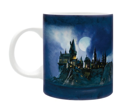 Кружка Harry Potter Hogwarts x2 320 мл ABYMUG311