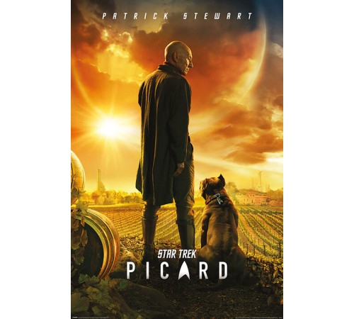 Постер Star Trek Picard (Picard Number One) А1