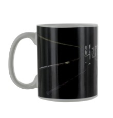 Кружка Harry Potter Wand Heat Change Mug PP3868HP