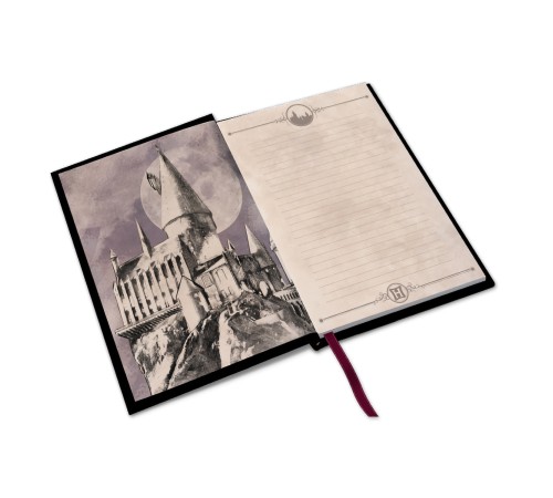 Записная книжка Harry Potter Premium A5 Notebook Hogwarts X4 ABYNOT050