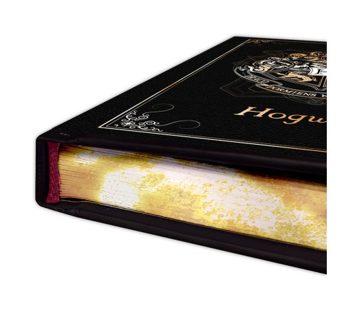 Записная книжка Harry Potter Premium A5 Notebook Hogwarts X4 ABYNOT050