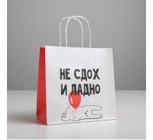 Пакет подарочный «И ладно», 22 х 22 х 11 см