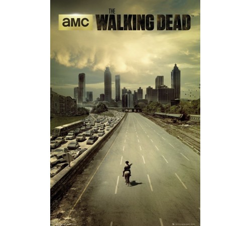 Постер Walking Dead А1 № 38