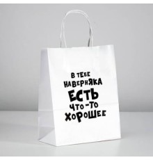 Пакет подарочный с приколами «В тебе наверняка есть что-то хорошее», 24 х 14 х 30 см