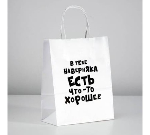 Пакет подарочный с приколами «В тебе наверняка есть что-то хорошее», 24 х 14 х 30 см