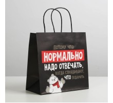 Пакет подарочный «Нормально надо отвечать», 22 × 22 × 11 см