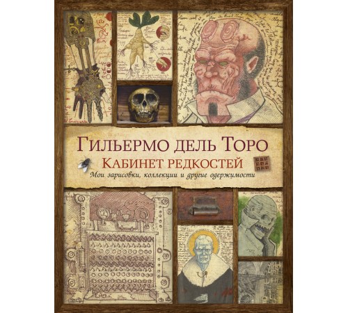 Кабинет редкостей. Мои зарисовки, коллекции и другие одержимости Кабинет редкостей. Мои зарисовки, коллекции и другие одержимости